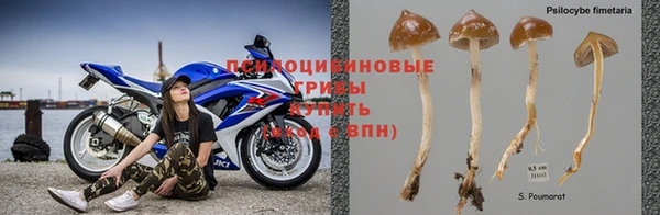 МДПВ Богородицк