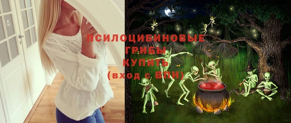МДПВ Богородицк