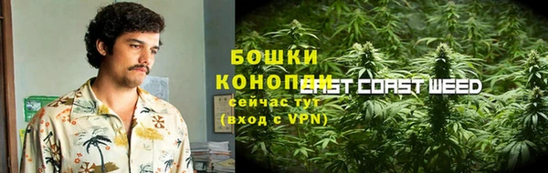 МДПВ Богородицк