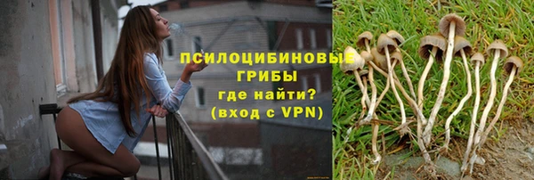 бошки Богородск