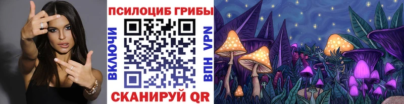 Псилоцибиновые грибы MAGIC MUSHROOMS  кракен ТОР  Берёзовка 